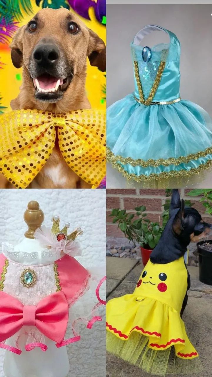 Seu pet na folia / feito sob medida  - Foto 3