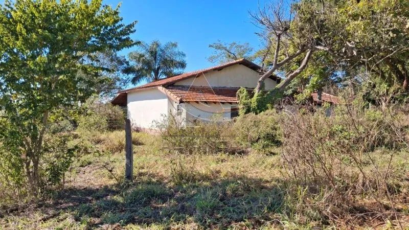 Fazenda - Anhembi - Zona Rural - Foto 2