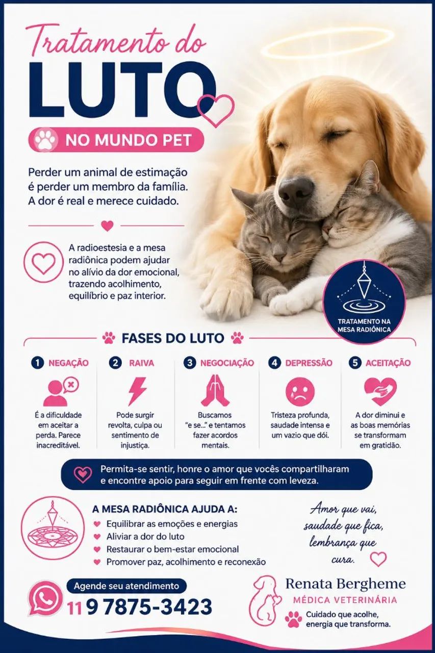 Veterinária, medicina integrativa  - Foto 4