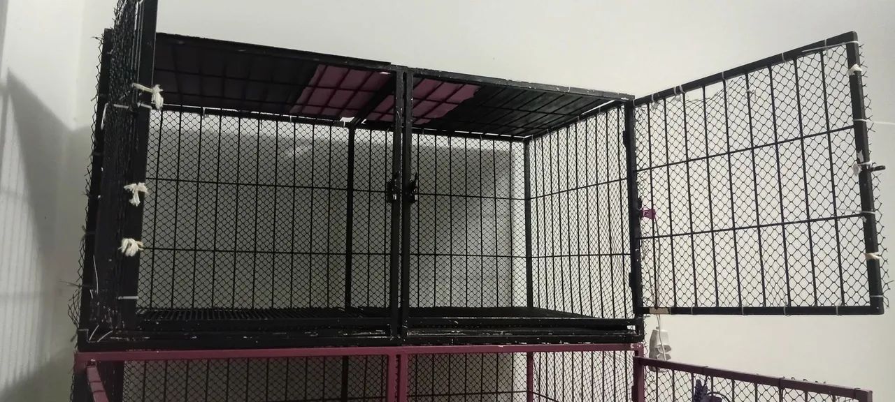 Gaiola pet shop - Foto 5