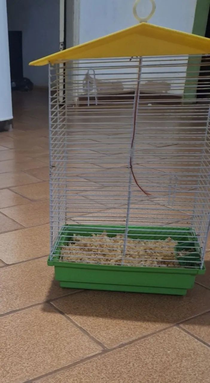 Vendo gaiola para hamster anão russo casa teto plástico montável  - Foto 2