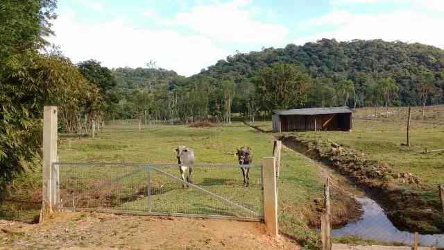 Chácara Linda Em Guaramirim - Foto 17