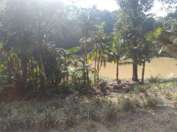 Chácara Linda Em Guaramirim - Foto 10