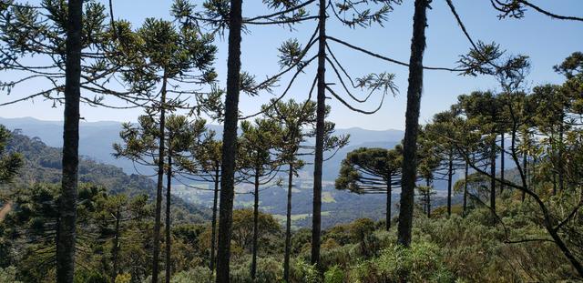 Sitio em Urubici/ chácara em Urubici /terra em Urubici