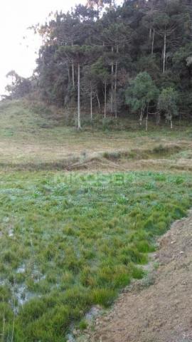 Terreno à venda, , invernador - urubici/sc - Foto 5