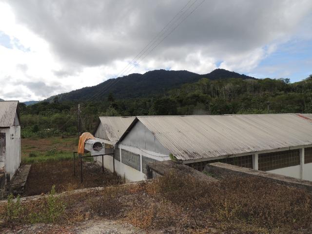 Vendo fazenda, excelente para plantar café ou eucalípto - Foto 18