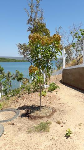 Chácara na beira do Lago, Km31 (Palmas/Lajeado) - Foto 9