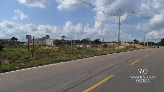 Terreno à venda, 426 m² por r$ 234.300,00 - iguaçu - araucária/pr - Foto 4