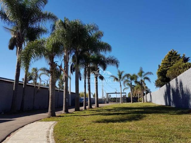 Terreno em condomínio fechado, 125m² exclusivos, área verde, a partir de r$105 mil reais - Foto 4