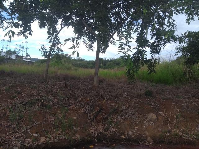 Terreno na Rodovia Ilhéus/Itabuna km 07 - Banco da Vitória - Foto 7