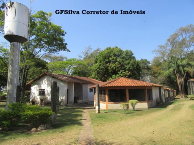 Sítio 2 alqueires e 1/2 todo plano 02 Lagos pronto p/ Haras Ref. 491 Silva Corretor - Foto 20