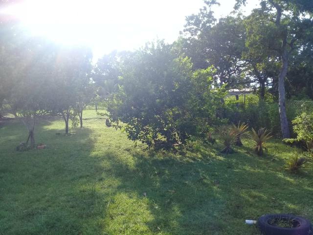 Vende-se uma chácara - Foto 7