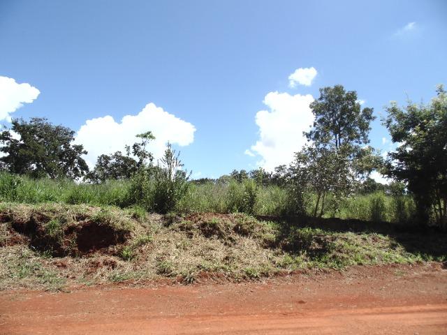 Terreno 02 Hectares Cond. Mansões Park Brasília - Área Rural Nova Betania Df - 135 - Foto 17