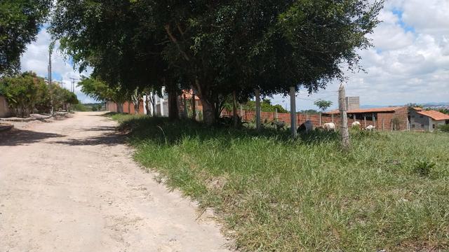 3 Lotes Estrada Velha de Chã Grande em Gravatá-PE - Foto 2