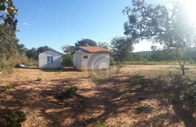 Chácara 7 hec na beira do asfalto estrada do manso à venda por r$ 120.000,00 - Foto 8