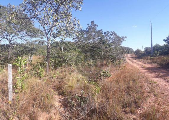 Chácara 7 hec na beira do asfalto estrada do manso à venda por r$ 120.000,00 - Foto 5