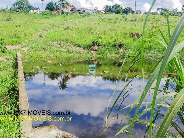 Ubaitaba. Fazenda mista de 160 Hectares, rica em água. - Foto 7