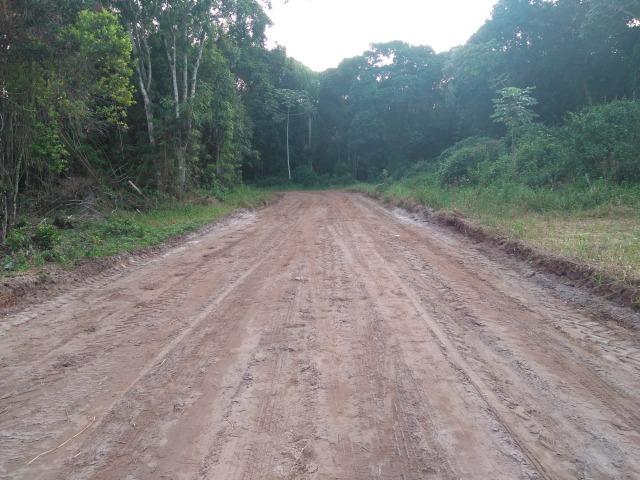 Terreno R$29.000 em Itapoá-SC próximo ao porto! TE0544 - Foto 2