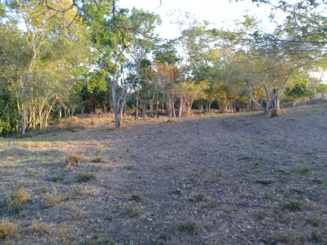 Lindíssima Fazendinha na região rural de Antonio Cardoso Bahia - Foto 13