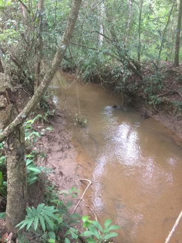 Fazenda Sítio Chácara Lote Terreno - Foto 7