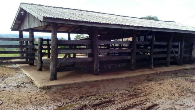 Fazenda em rio branco mt - Foto 16