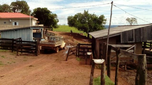 Fazenda em rio branco mt - Foto 15