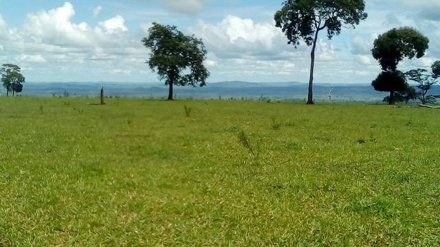 Fazenda em rio branco mt - Foto 7