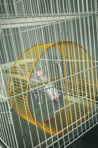 Gaiola Viveiro, Porquinho da Índia, Chinchilas, Hamster, Twister - Foto 3