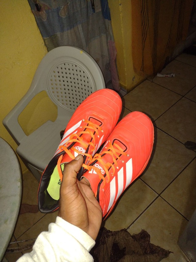 predator primeira linha