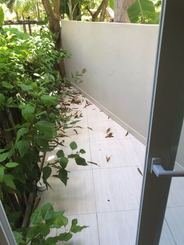 Linda casa em Garapua com ponto comercial  - Foto 5