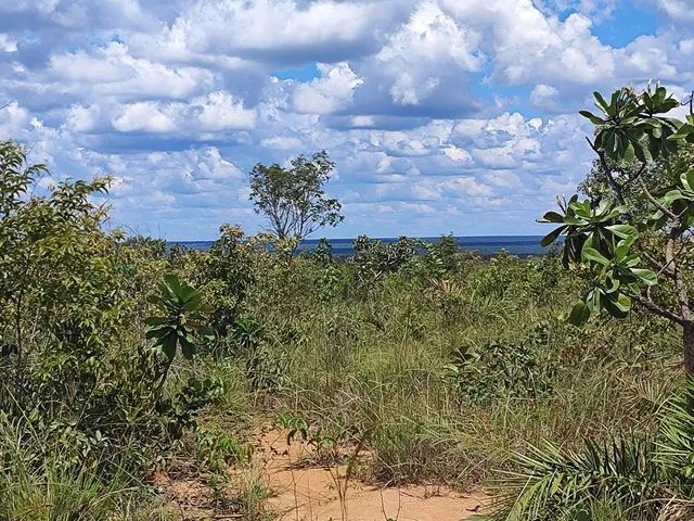 Vendo fazenda de 6500 ha no Piauí pertinho da bahia - Foto 2