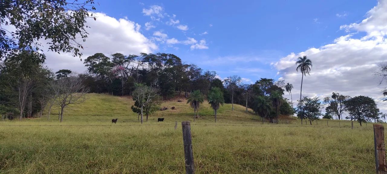 Chácara em Avelinópolis  - Foto 4