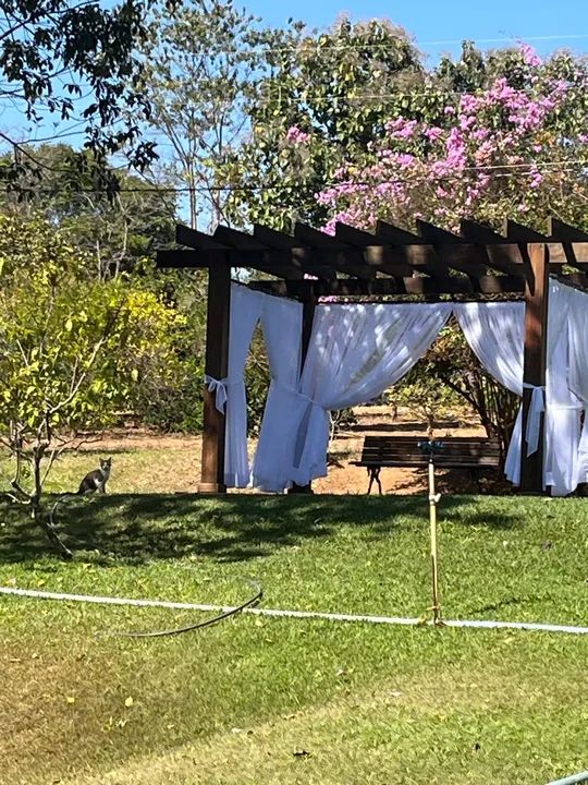 10,5 alqueire em Aragoiânia * - Foto 6