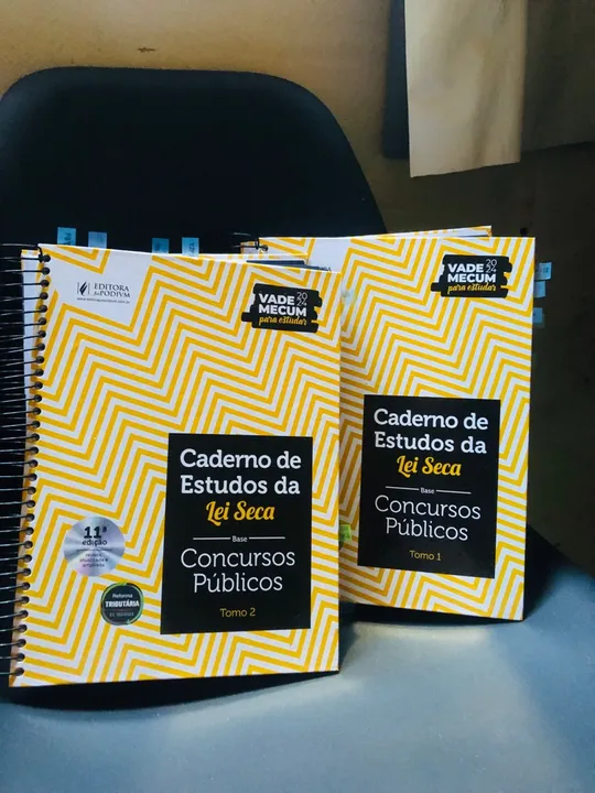 Caderno de Estudos da Lei Seca - 2º Semestre - Concursos Públicos -