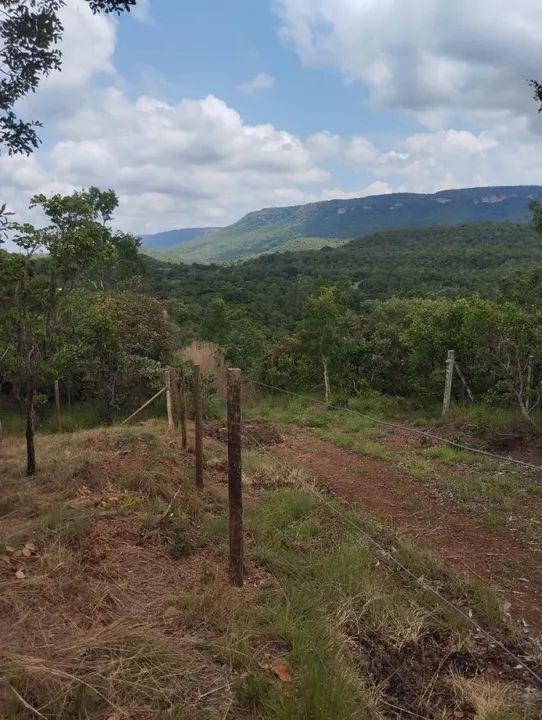 Chácara com 1000m2 na saída para Lajeado - Foto 8