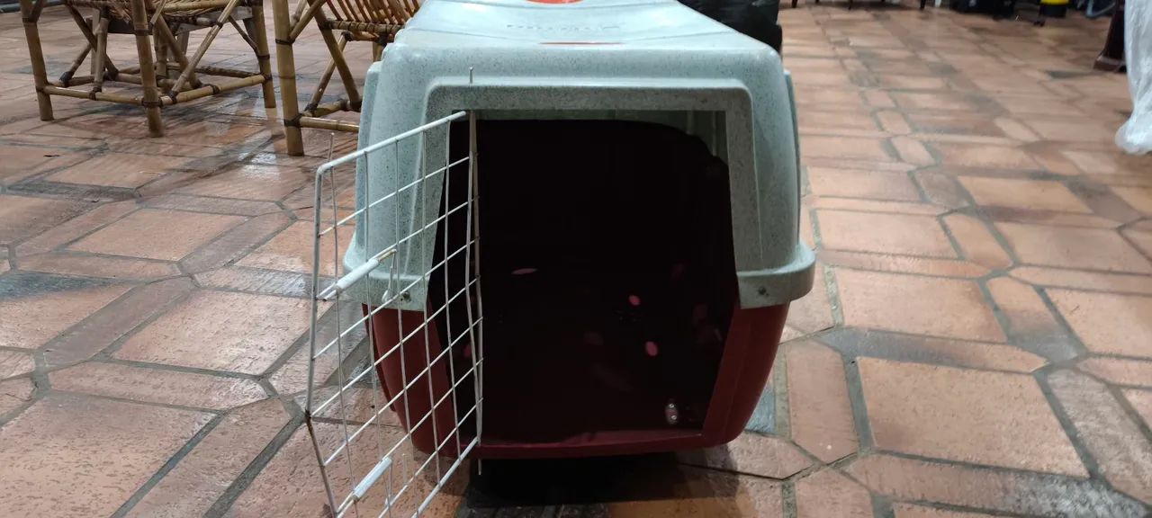 Caixa de transporte cachor porte grande