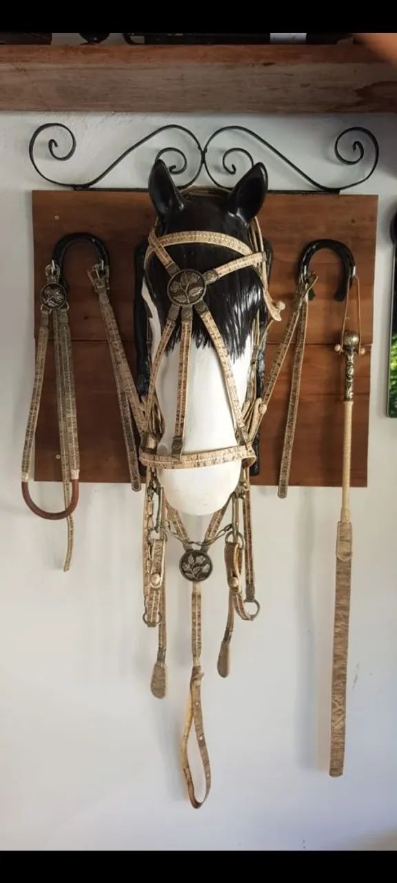 Cabeçada de Cavalo Decorativa