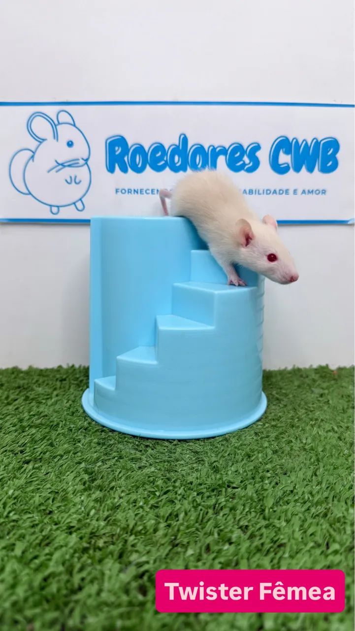 Ratos Twister/Mercol - Foto 4