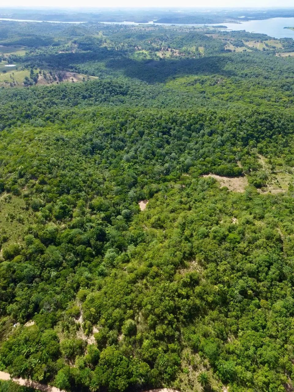 Fazenda de 70 Hectares em Candeias - Bahia - Foto 3
