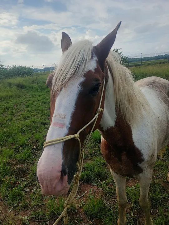 Só vendas  - Foto 3