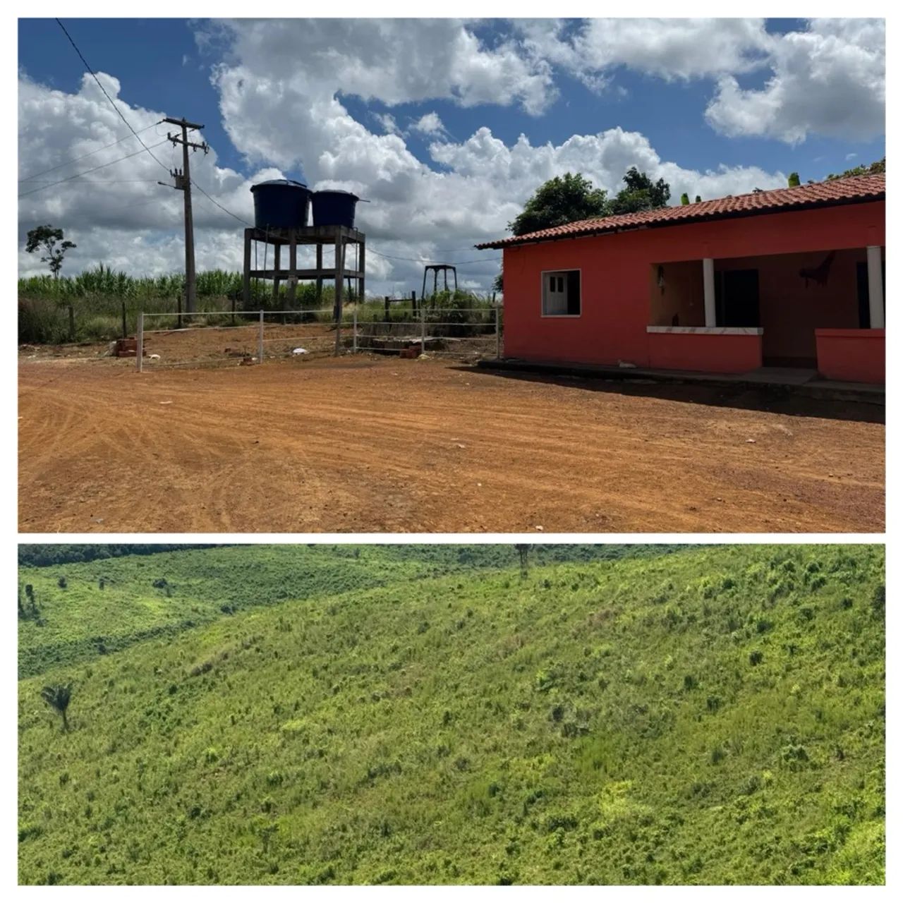 Fazenda Buriticupu-MA / 40 Alqueire