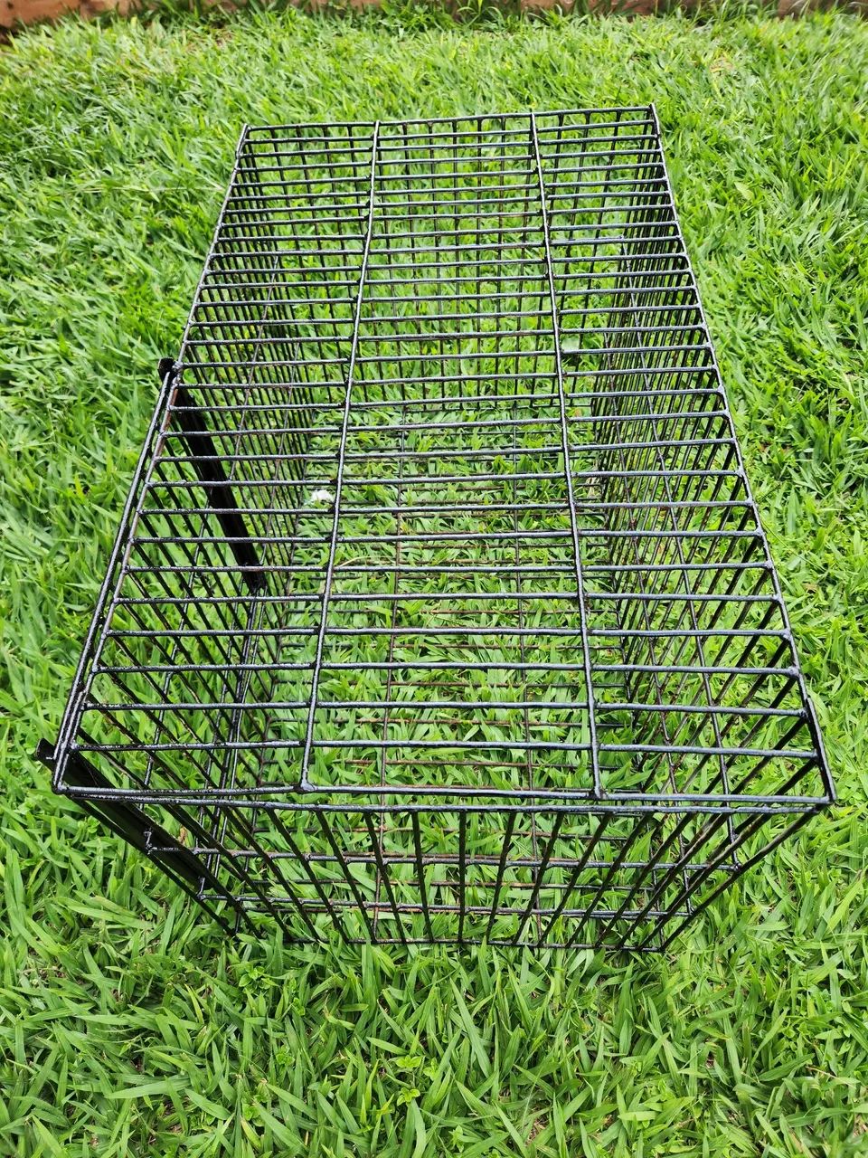 Gaiola Grande De Ferro - Foto 5