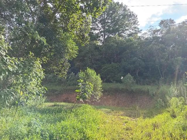 Terreno rural de 22000m2 em Angelina SC - Foto 3