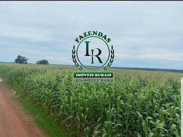 Fazenda com Dívida, Área de 98 Alqueires, (474,32há) Dupla Aptidão