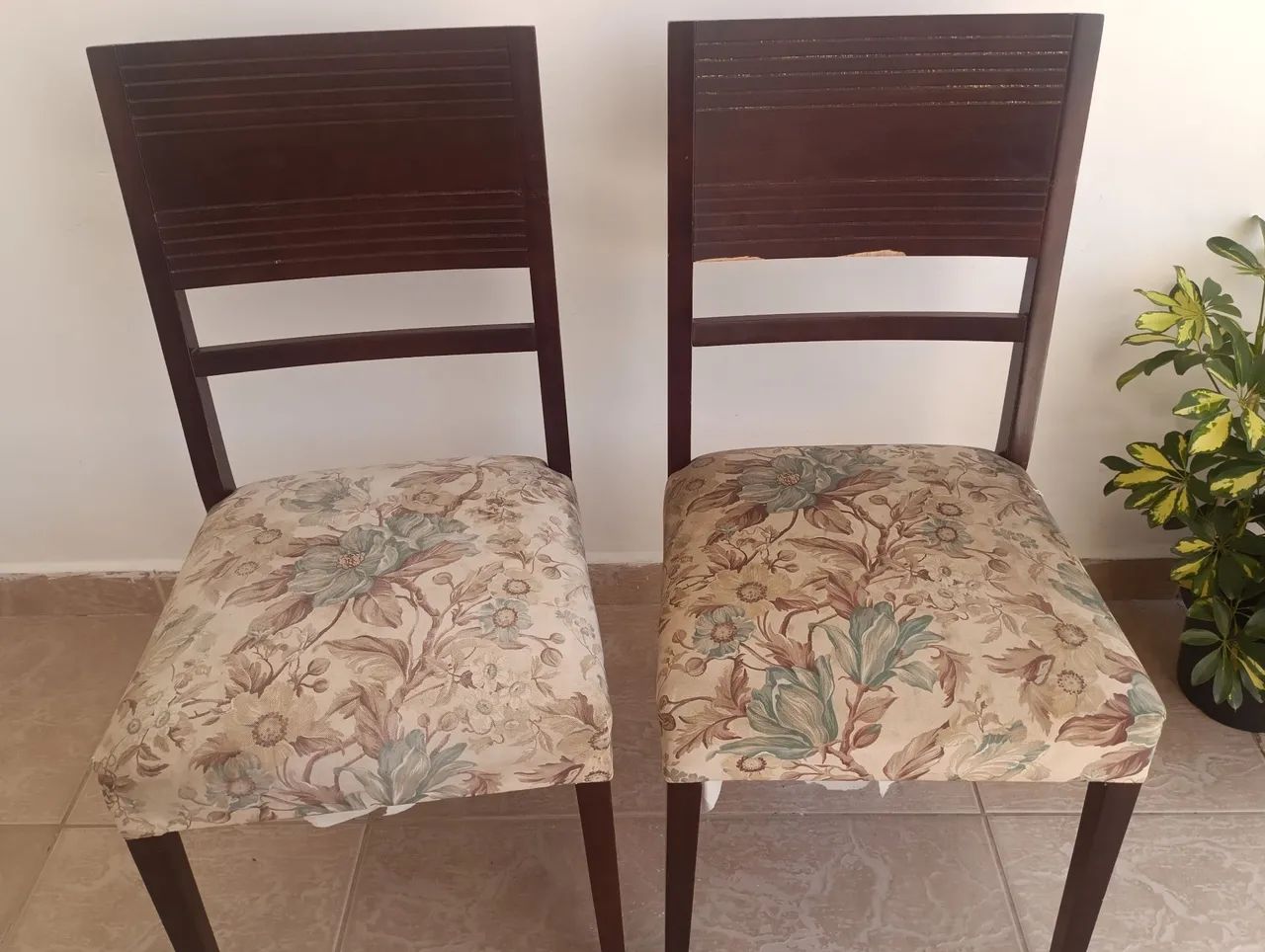 Solid wood chairs65204504914562120