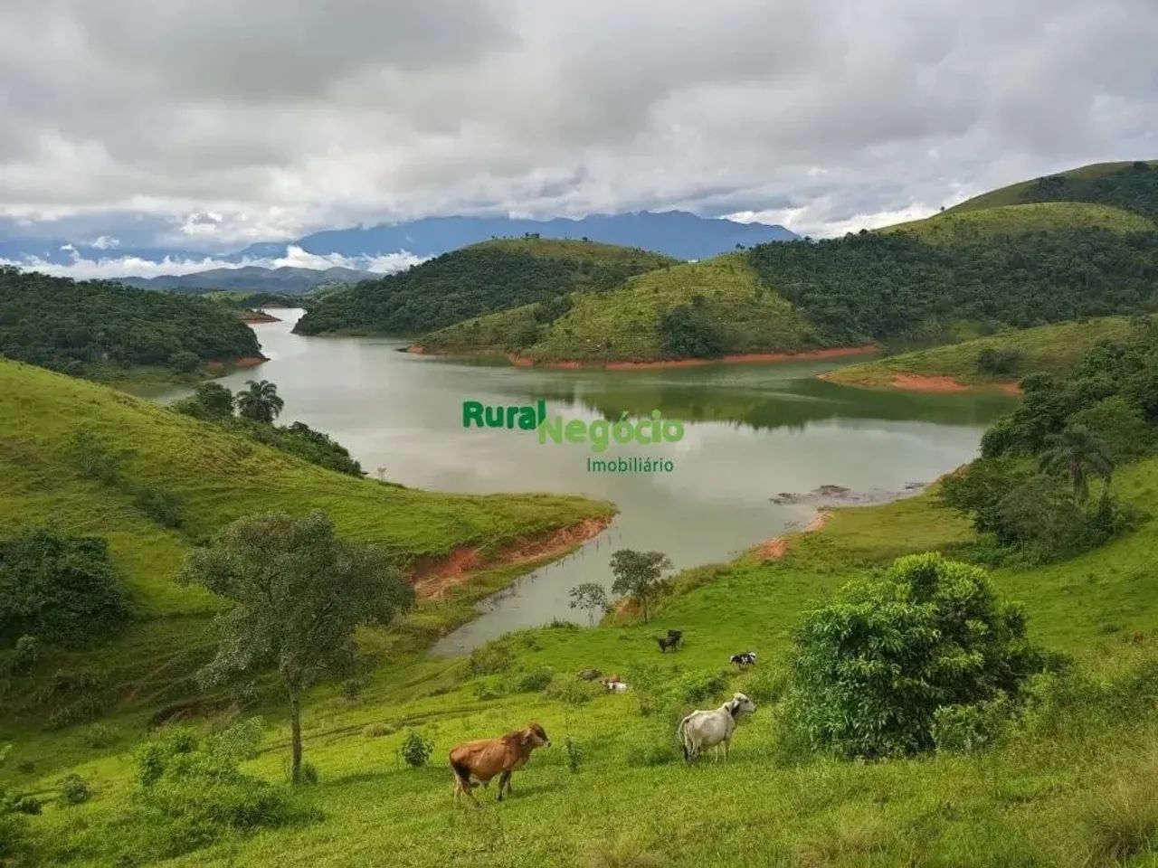 SÍTIO MARGEADO PELA REPRESA DE FURNAS EM RESENDE-RJ