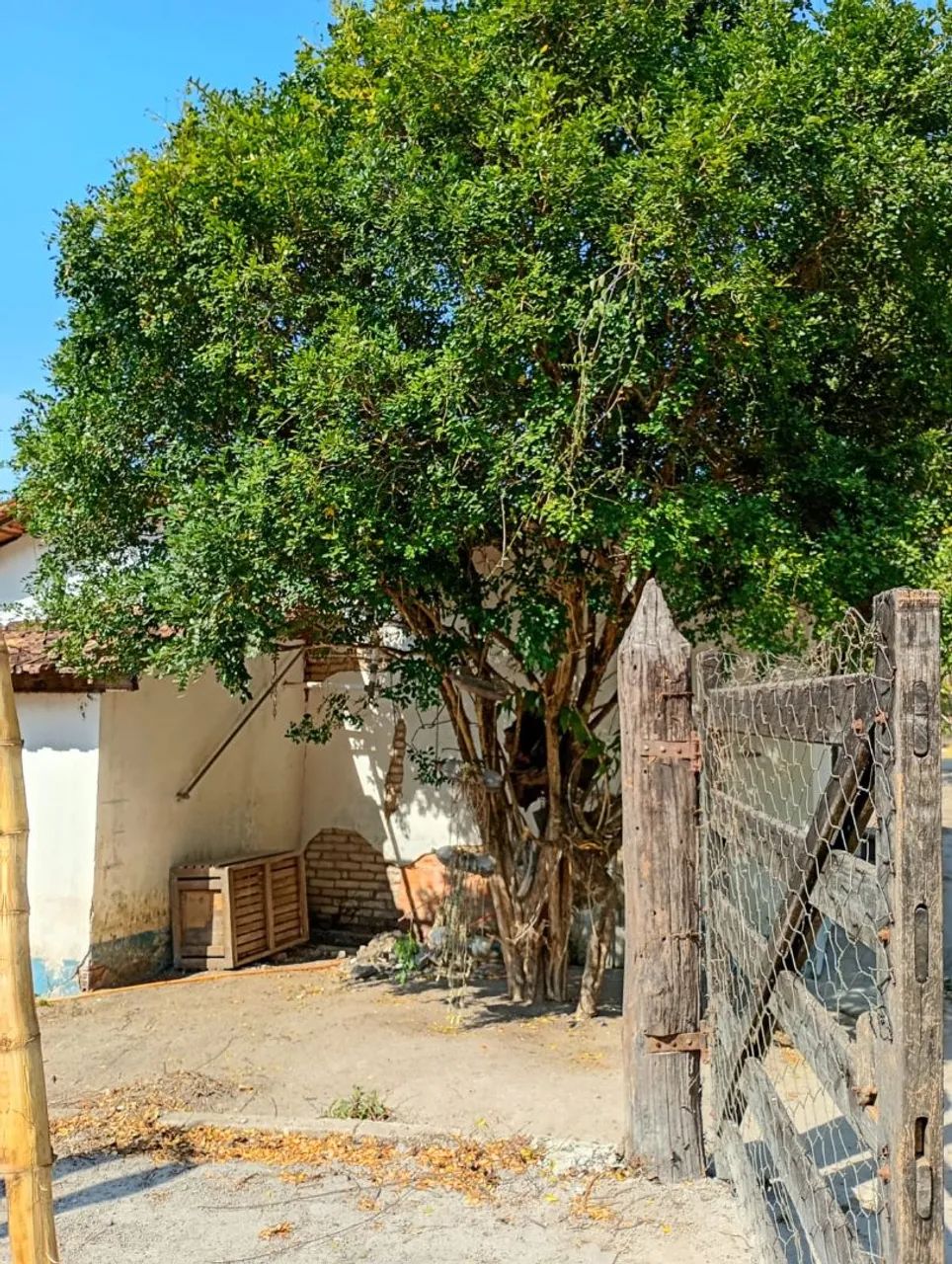 Casas em área rural  - Foto 3