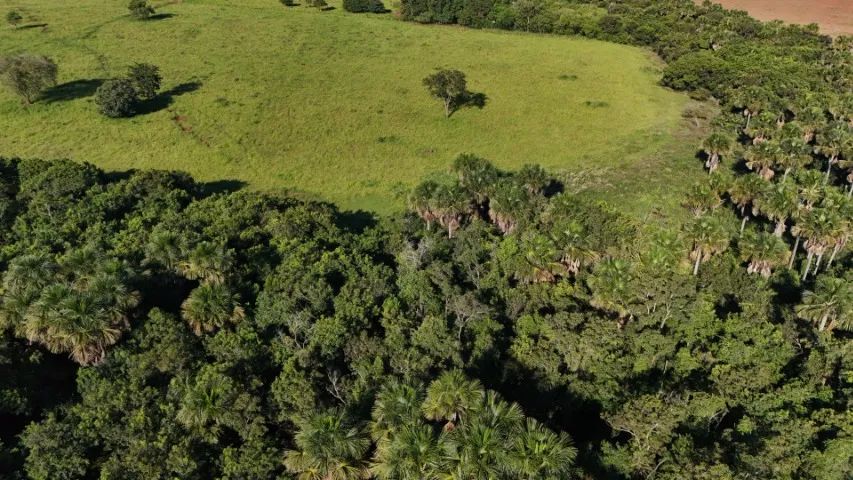 Chácara com 16 Hectares com Córrego em Campo Grande MS! - Foto 5