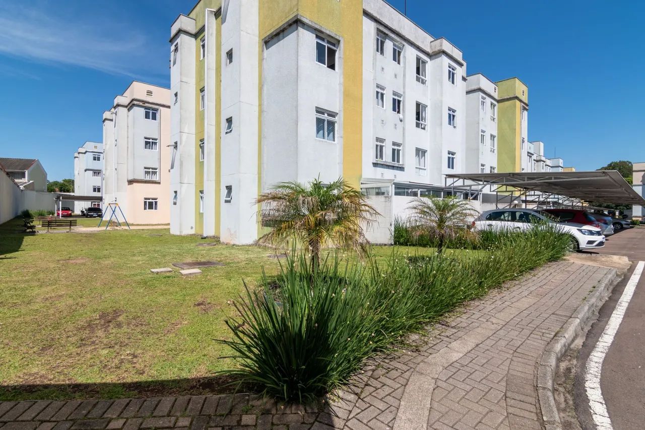 Foto - Araucária - Tindiquera