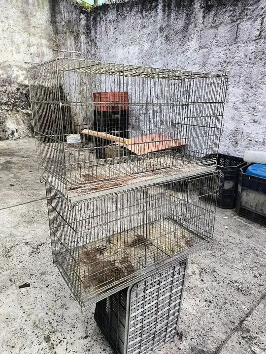 Gaiola criadeiras  - Foto 5